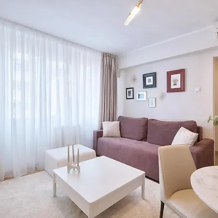 公寓 Victoriei Boutique