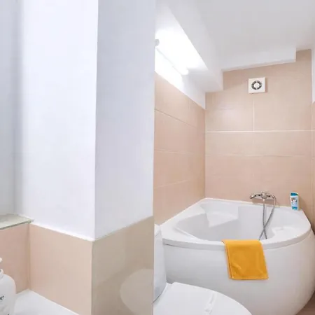 Apartment Victoriei Boutique *