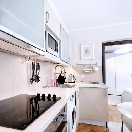 Apartment Victoriei Boutique Bucharest