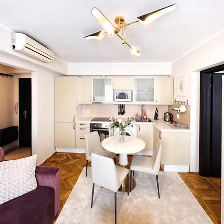 公寓 Victoriei Boutique 布加勒斯特