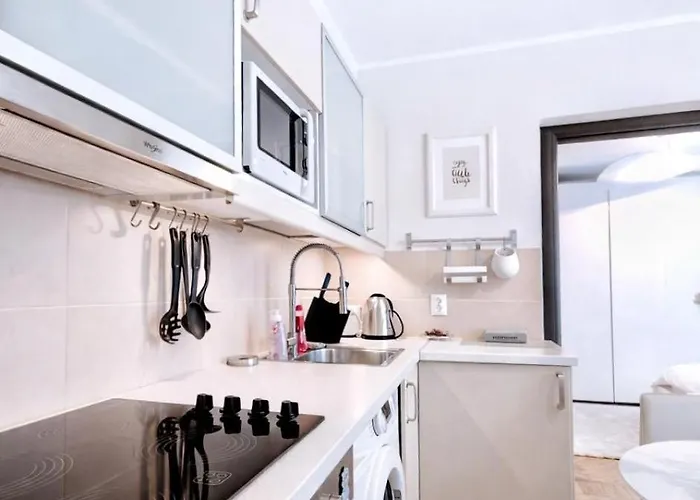 公寓 Victoriei Boutique 布加勒斯特